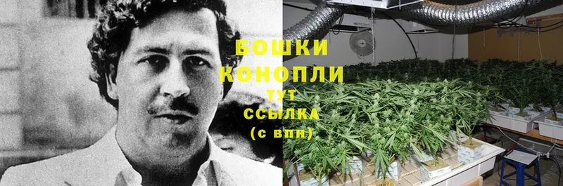 где можно купить наркотик  Белоярский  Конопля Ganja 